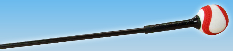 Swing Trainers