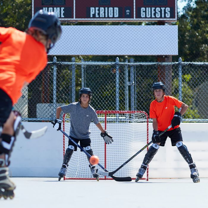 Brand purchases New Franklin Sports Hockey Goal