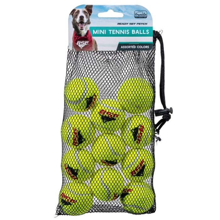 Mini dog tennis balls best sale