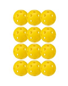 x-26 indoor pickleballs