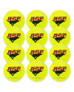 dog squeak tennis balls