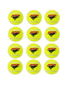 Ready Set Fetch Squeak Mini Tennis Balls - 12 Pack