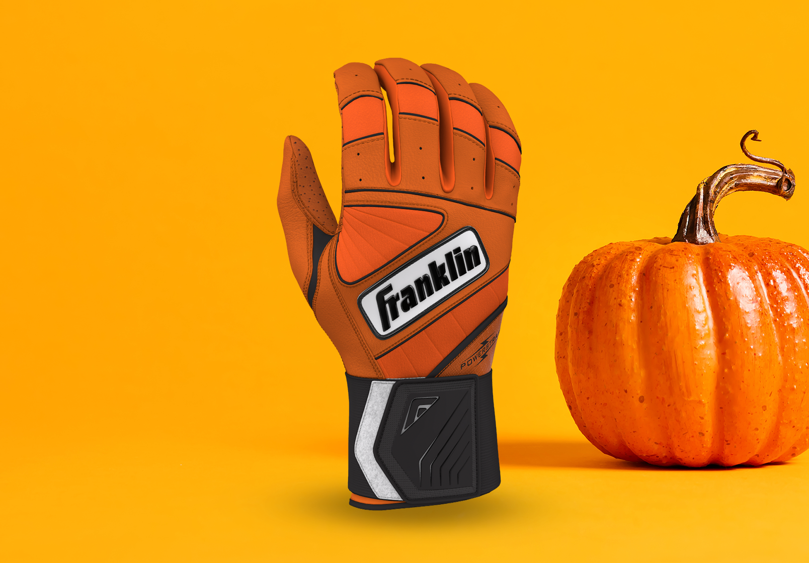 Classic Pumpkin