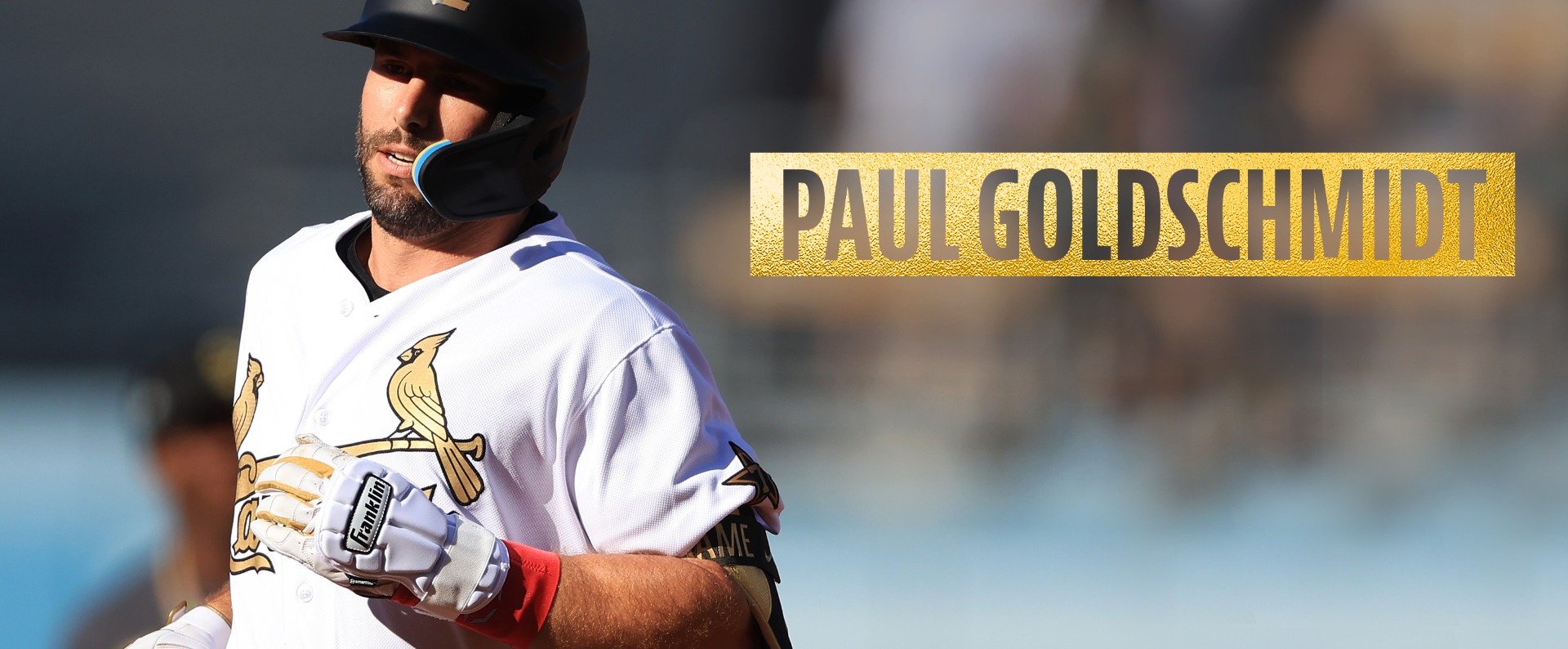 Paul Goldschmidt PRT LG Handguard